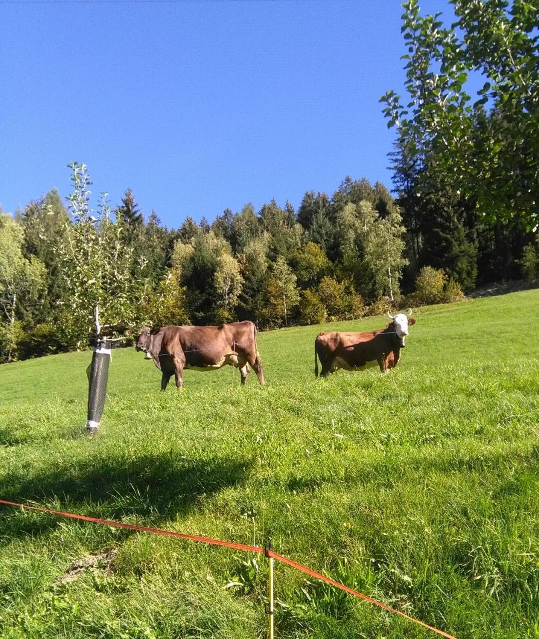 Appartamento Stockhof Zell am Ziller Esterno foto