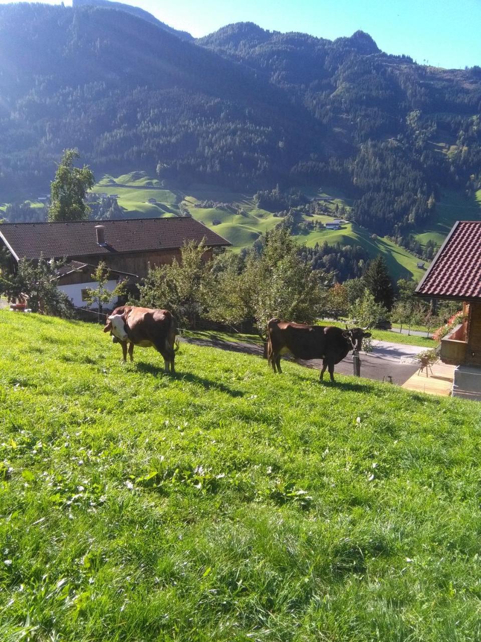 Appartamento Stockhof Zell am Ziller Esterno foto